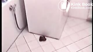 Pregnant german hauswife shitting in toilet