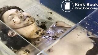 The brown side of life 561