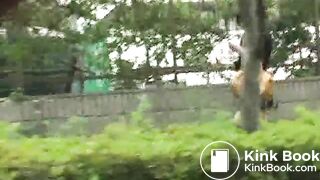 Jade Filth F15-14 2-16