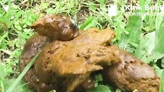 Jade Filth F15-14 2-16