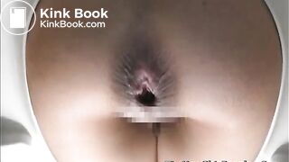 Japanese Western Toilet Bowlcam 58-part02