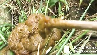 Jade Filth F15-14 2-21