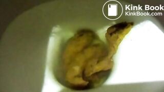 SLUT SHIT IN TOILET