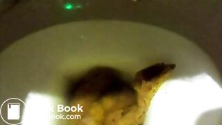 SLUT SHIT IN TOILET