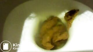 SLUT SHIT IN TOILET