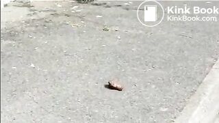 Blonde mature shitting in public On shittytube