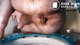 Shitting on the toilet