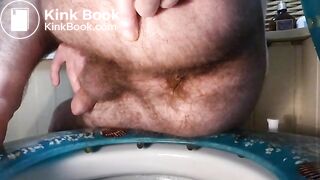 Shitting on the toilet