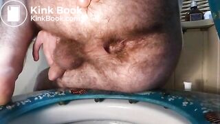 Shitting on the toilet