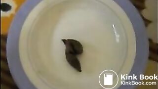 Shitting And Assfucking At Riga 1