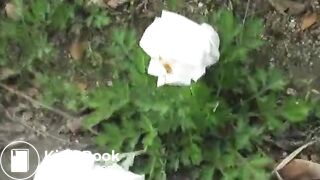 Jade Filth F15-14 2-01