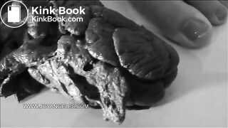 shellynaturdsealingtrailer1