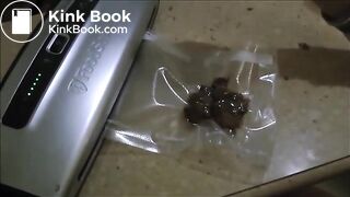 shellynaturdsealingtrailer1