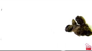 Handicam Dual Perspectives-1-part02