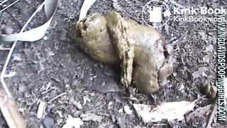 WWWKINGDAVIDSPOOPINGGIRLSCOM_1_07-2018_26072018