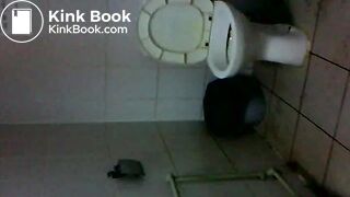 MY SCAT IN TOILET