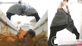 Broken Office Toilet 2