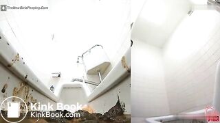 Broken Office Toilet 2