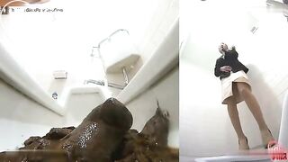 Broken Office Toilet 2