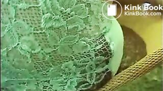 Two volcans in a camping