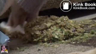 Drunk girls messy vomiting Part II