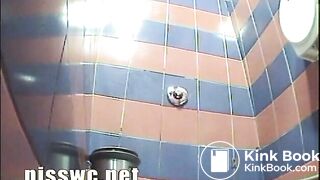 conventional toilet and webcam