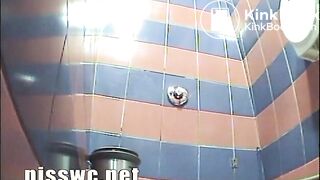 conventional toilet and webcam