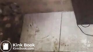 Thai scatqueen honey bee scat