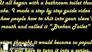 Broken Toilet Series