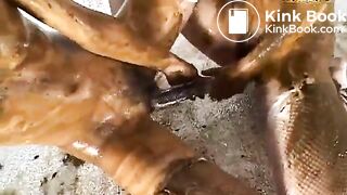 JAPANESE SHIT LESBIANS