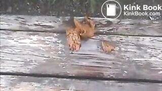 Mix of girls pooping indoor and outdoor On xPee