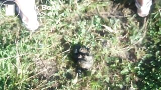 Public scat madness - Part