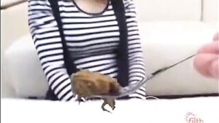 The brown side of life 57