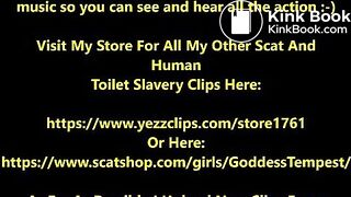 Broken Toilet 16 Preview