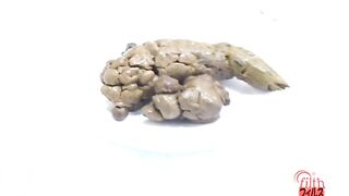 Shit on a plate and examine the shit 3