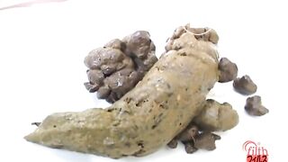 Shit on a plate and examine the shit 3