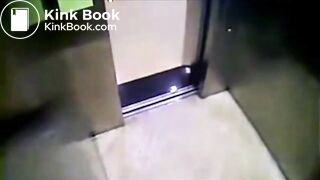 The brown side of life 933