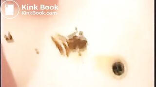 Lexee Pooping And Smearing Shit