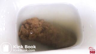 Unflushable Big Log 02