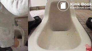 Unflushable Big Log 02