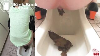 Unflushable Big Log 02