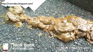 Shitting in the street