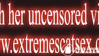 FreeTrailer wwwextremescatsexcom 1September2017