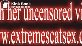 FreeTrailer wwwextremescatsexcom 1September2017