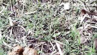 German girl shits Long turd outside