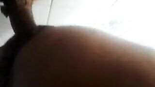 STNKY POOP SOUNDS