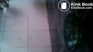 In Schüssel geschissen