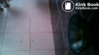 In Schüssel geschissen