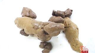 Shit on a plate and examine the shit