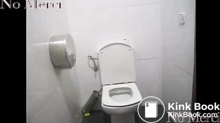 Catching a big turd over the toilet